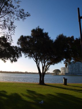 Batı Avustralya 'da, Mandurah' da gün batımında ağaçlara karşı ateş edilmiş..