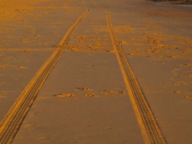 Denize açılan altın kumdaki izler. Kapat..