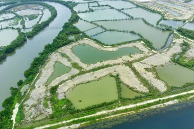 Bengawan Solo nehri yakınlarındaki balık çiftliğinin hava görüntüsü, Gresik, Endonezya. Üst görünüm.
