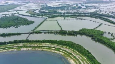 Bengawan Solo nehri yakınlarındaki balık çiftliğinin hava görüntüsü, Gresik, Endonezya. Üst görünüm.