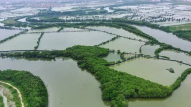 Bengawan Solo nehri yakınlarındaki balık çiftliğinin hava görüntüsü, Gresik, Endonezya. Üst görünüm.