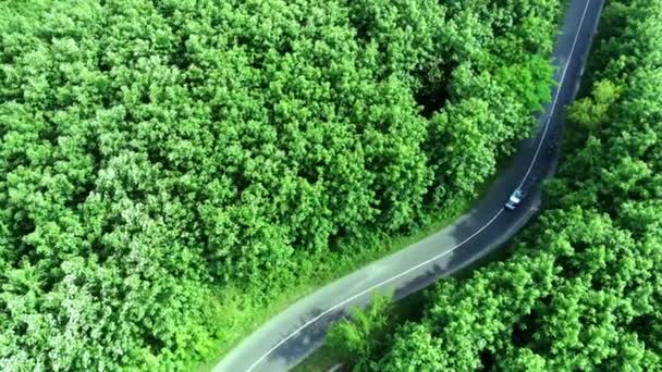 Pohled Shora Klikatou Cestu Mezi Lesy Mojokerto Střední Jáva Indonésie — Stock video