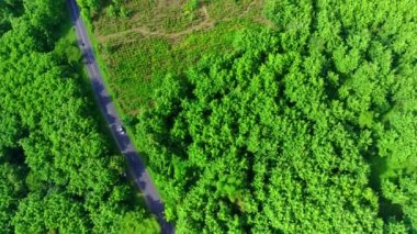 Mojokerto, Central Java, Endonezya 'daki ormanlar arasındaki dolambaçlı yolun en üst görüntüsü. İnsansız hava aracı görüntüleri.