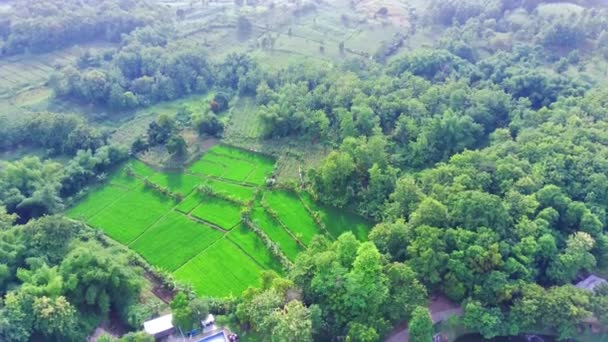 印度尼西亚莫约卡省Waduk Tanjungan或Tanjungan水坝的俯视图 无人机拍摄的空中录像 — 图库视频影像