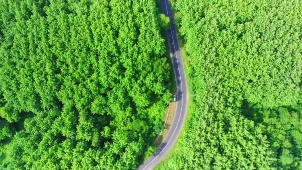 Κάτοψη Του Δρόμου Περιέλιξης Μεταξύ Των Δασών Στο Mojokerto Κεντρική — Αρχείο Βίντεο