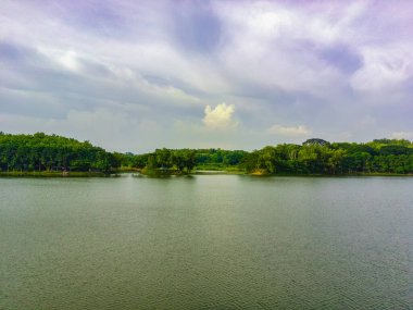 Scenic view of Forests by the dam of Tanjungan, Mojokerto. Indonesia.