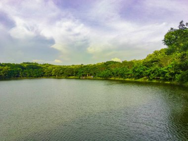 Scenic view of Forests by the dam of Tanjungan, Mojokerto. Indonesia.