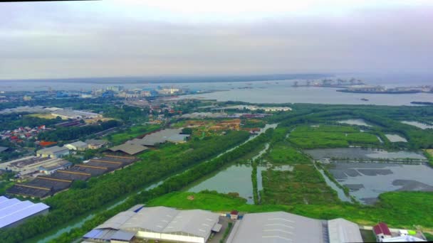 マングローブの上を飛んでテルク ラモン スラバヤの海港へ 工業団地 — ストック動画