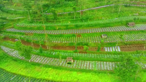 Flying Hill Ketep Magelang Foggy Condition Aerial Drone Footage — 图库视频影像