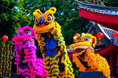 The Lion dance or Barongsai in chinese new year 2023. Semarang. Indonesia. Travel Photography.