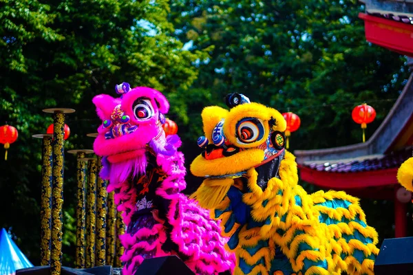 Lion Dance Barongsai Chinese New Year 2023 Semarang Indonesia Travel — Stock Photo, Image