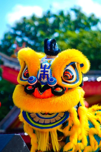 Lion Dance Barongsai Chinese New Year 2023 Semarang Indonesia Travel — Stock Photo, Image