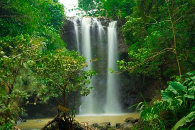 the natural freshness of the Curug or waterfalls Gondoroiyo in Semarang. Indonesia. Long Exposure photography.