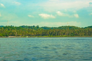 Forest on the sandy beach around Menjangan Island, Bali. Indonesia. Landscape and travel photography.