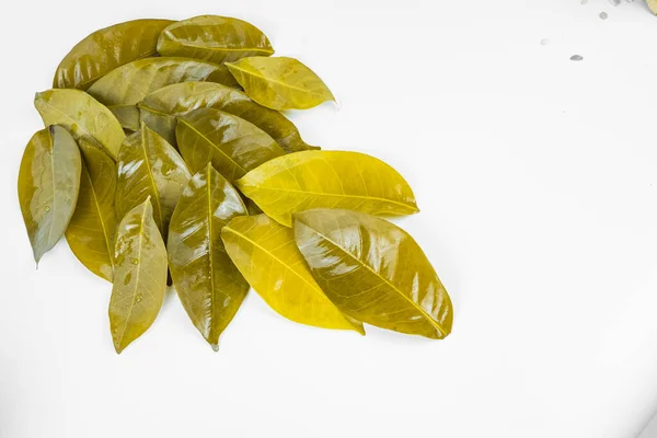Bay Leaves Being Boiled Put White Table Isolated Copy Space — Stock Photo, Image