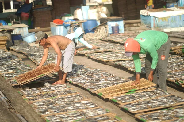Banyuwangi Indonesia October 2021 People Drying Fish Fishing Port Street — Stock Photo, Image
