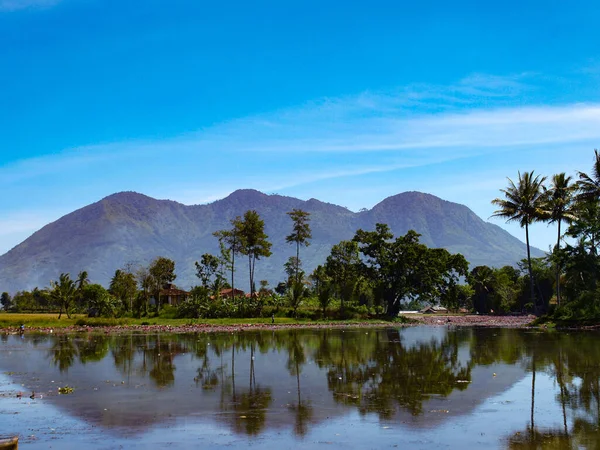 Scenario Del Lago Contro Montagne Cielo Blu Garut Indonesia Fotografia — Foto Stock