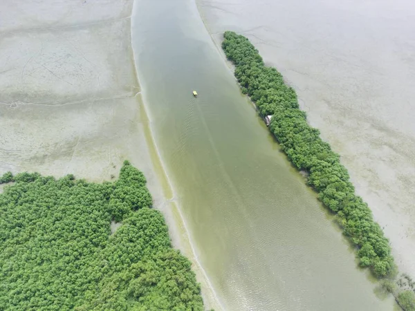 Aerial shot on The mangrove beach in Romokalisari, Surabaya, East Java, Indonesia