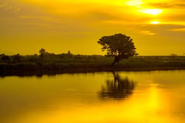 Gün doğarken Gresik, Doğu Java 'da ağaçlarla gölün üzerinde altın saat. Endonezya 'da. Uzun Pozlama Fotoğrafçılığı.