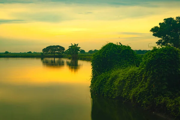 Golden Hour Sunrise Lake Trees Gresik East Java Indonesia Long — Stock Photo, Image