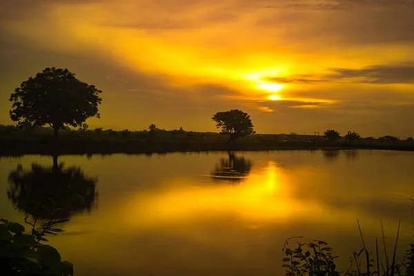 Golden Hour Sunrise Lake Trees Gresik East Java Indonesia Long — Stock Photo, Image