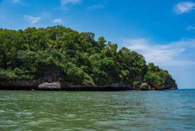 Tanjung Kasap ya da Kasap Burnu, Pacitan, Endonezya 'daki kayalıklardaki ormanları keşfetmek. Fotoğraf Hint Okyanusu 'ndaki bir tekneden çekildi. Doğa Fotoğrafçılığı.
