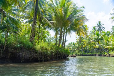 Güzel ve sakin nehirde Kali Cokel, Pacitan, Endonezya 'da ağaçlarla dolaşmak. Doğa ve vahşi yaşam fotoğrafçılığı.