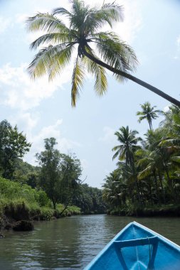 Güzel ve sakin nehirde Kali Cokel, Pacitan, Endonezya 'da ağaçlarla dolaşmak. Doğa ve vahşi yaşam fotoğrafçılığı.
