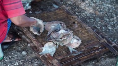 Endonezya, Gresik 'te tuzlanmış balıkları bambu tepside kurutma hazırlıklarını tamamlayın. Sokak videosu.