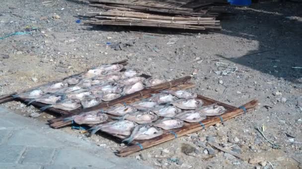 Закрыть Подготовку Высушиванию Соленой Рыбы Бамбуковом Подносе Гресике Индонезия Уличная — стоковое видео