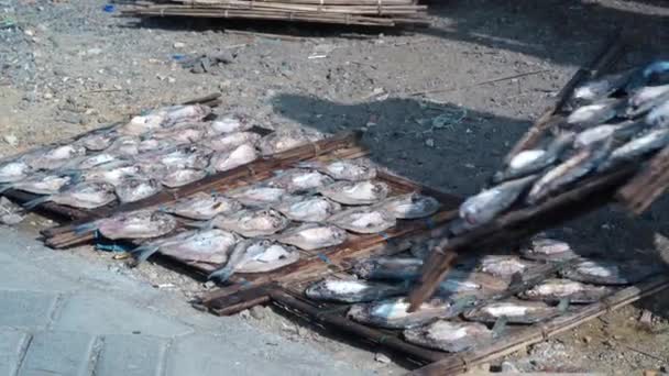 Закрыть Подготовку Высушиванию Соленой Рыбы Бамбуковом Подносе Гресике Индонезия Уличная — стоковое видео