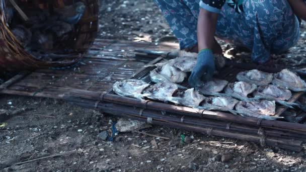 Menutup Persiapan Untuk Mengeringkan Ikan Asin Atas Baki Bambu Gresik — Stok Video