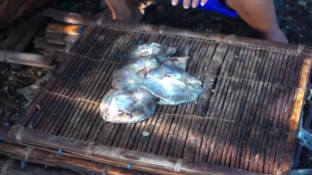 在印度尼西亚格蕾西克 准备把咸鱼放在竹盘上晒干 街头录像 — 图库视频影像