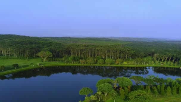 空中无人机射击中美丽的风景 印度尼西亚塞马朗的森林树木和平静的湖水 自然与风景镜头 — 图库视频影像