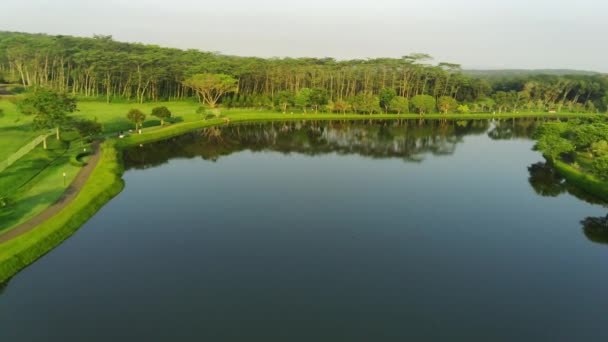 Hermoso Paisaje Tiro Aéreo Dron Árboles Forestales Tranquilo Lago Tranquilo — Vídeos de Stock