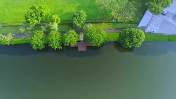 Hermoso Paisaje Tiro Aéreo Dron Árboles Forestales Tranquilo Lago Tranquilo — Vídeos de Stock