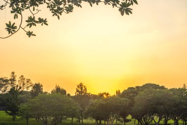 Mijen, Semarang, Endonezya 'daki BSB gölünde güzel bir gündoğumu. Doğa ve manzara fotoğrafı..