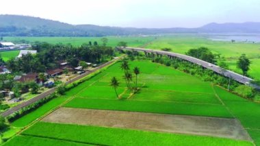 Ambarawa şehrinin hava manzarası, Central Java, Endonezya yeşil çeltik tarlaları ve eski model trenin geçişi. Drone Görüntüsü.