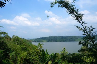 Semarang, Endonezya 'daki bir orman tepesinden waduk jatibarang veya jatibarang barajı manzarası. Doğa Fotoğrafçılığı.