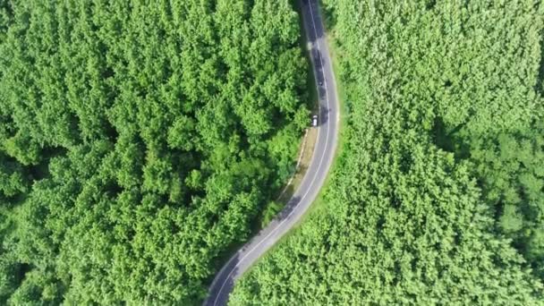 Létání Nad Klikatými Cestami Mezi Zelenými Lesy Kemlagi Mojokerto Indonésie — Stock video