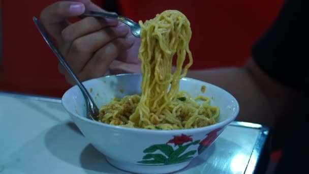 風味豊かな鶏そばが人気のインドネシア料理 三重アイアム 薄い黄色の麺を風味豊かなスープやソースで提供し 柔らかいスライスをトッピングしています — ストック動画