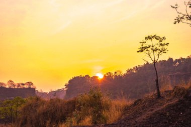 Ranu Manduro, Mojokerto, Endonezya 'da ağaçlarla birlikte gölün üzerinde gün doğumu. Doğa ve manzara fotoğrafçılığı.