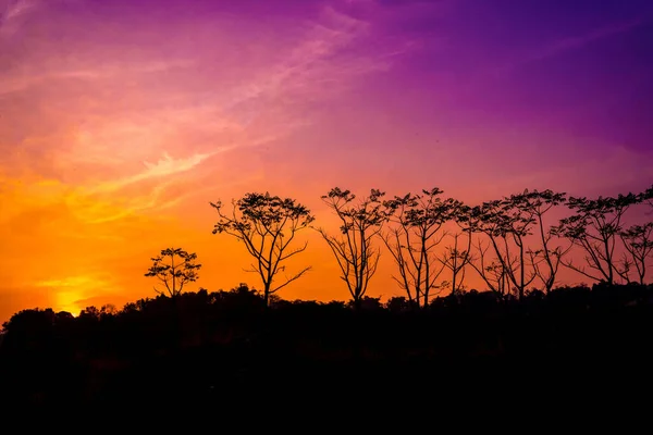 Silhouette Alberi Contro Cielo Arancione Viola Ranu Manduro Mojokerto Indonesia — Foto Stock