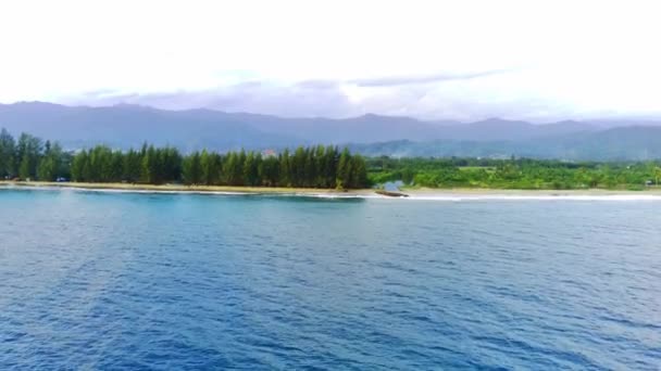 インドネシア南西部のブルンピジーにある美しいバリビーチで 空中ドローンで撮影された青い空に青い海があります 空に向かって砂浜の緑の松の木 — ストック動画