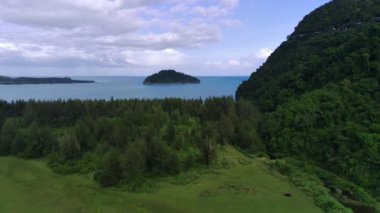 Endonezya 'nın Aceh Jaya kasabasında Babah Ie köyünde çam ağaçları olan güzel savana, gölet ve güzel plaj manzarası. Doğal insansız hava aracı görüntüleri.