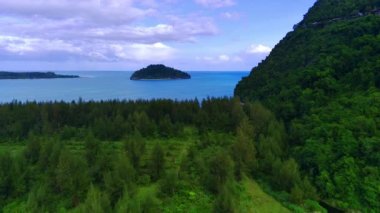 Endonezya 'nın Aceh Jaya kasabasında Babah Ie köyünde çam ağaçları olan güzel savana, gölet ve güzel plaj manzarası. Doğal insansız hava aracı görüntüleri.