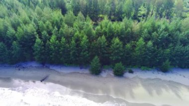 Endonezya 'nın Aceh Jaya kasabasında Babah Ie köyünde çam ağaçları olan güzel savana, gölet ve güzel plaj manzarası. Doğal insansız hava aracı görüntüleri.