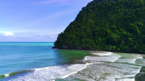 美しいサバンナ インドネシアのアチェヤヤの村の松の木と美しいビーチの空中ビュー 自然ドローンの映像 — ストック動画