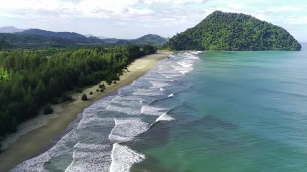 Vista Aérea Hermosa Sabana Estanque Hermosa Playa Con Pinos Babah — Vídeo de stock