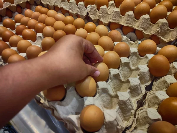 The human hand is delicately picking up an egg from paper egg case in a Supermarket. Business and finance photo.